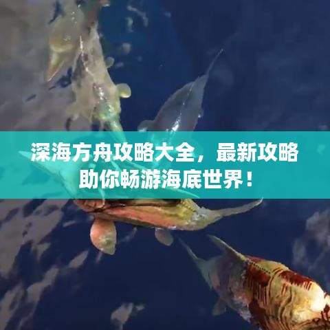 深海方舟攻略大全，最新攻略助你暢游海底世界！