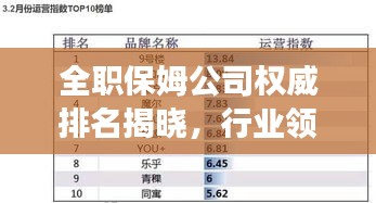 全職保姆公司權(quán)威排名揭曉，行業(yè)領(lǐng)軍者的成功秘訣大揭秘