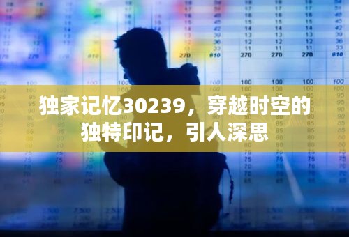 獨家記憶30239，穿越時空的獨特印記，引人深思