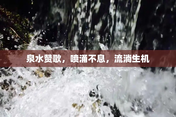 泉水贊歌，噴涌不息，流淌生機