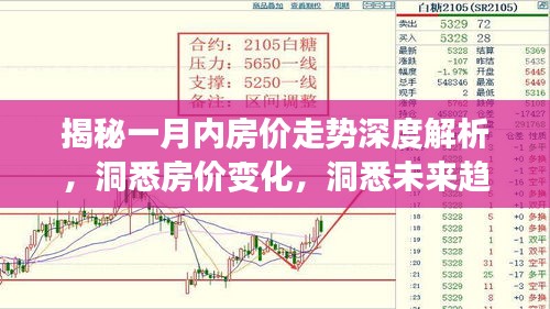 揭秘一月內(nèi)房價(jià)走勢(shì)深度解析，洞悉房價(jià)變化，洞悉未來趨勢(shì)