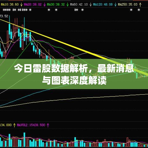 今日雷股數(shù)據(jù)解析，最新消息與圖表深度解讀