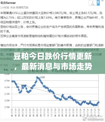 豆粕今日跌價(jià)行情更新，最新消息與市場走勢分析