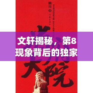 文軒揭秘，第8現(xiàn)象背后的獨(dú)家故事