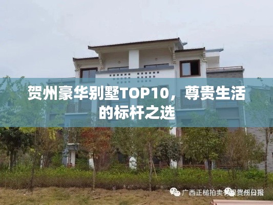 賀州豪華別墅TOP10，尊貴生活的標(biāo)桿之選
