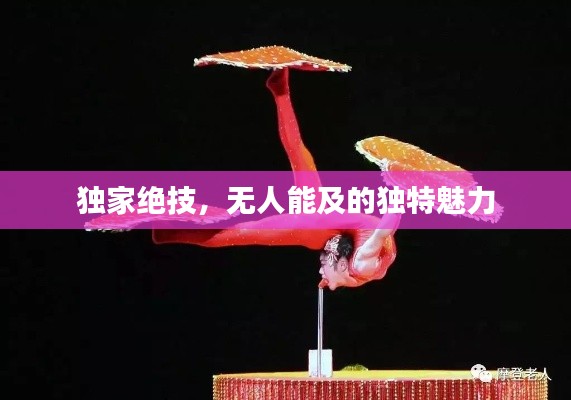 獨(dú)家絕技，無(wú)人能及的獨(dú)特魅力