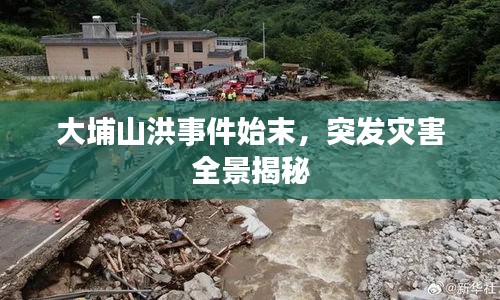 大埔山洪事件始末，突發(fā)災(zāi)害全景揭秘