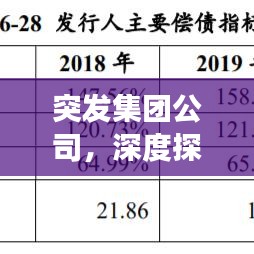 突發(fā)集團(tuán)公司，深度探索、應(yīng)對(duì)策略與未來展望