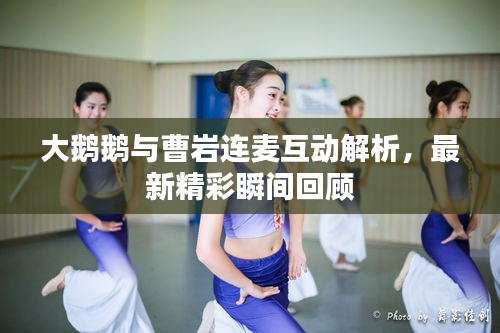 大鵝鵝與曹巖連麥互動解析，最新精彩瞬間回顧