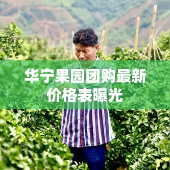 華寧果園團(tuán)購最新價(jià)格表曝光