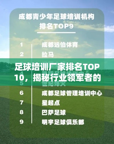 足球培訓(xùn)廠家排名TOP10，揭秘行業(yè)領(lǐng)軍者的秘密！