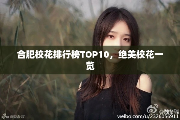 合肥?；ㄅ判邪馮OP10，絕美?；ㄒ挥[