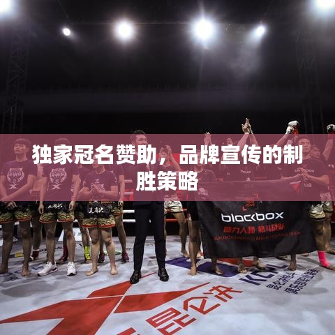 獨(dú)家冠名贊助，品牌宣傳的制勝策略