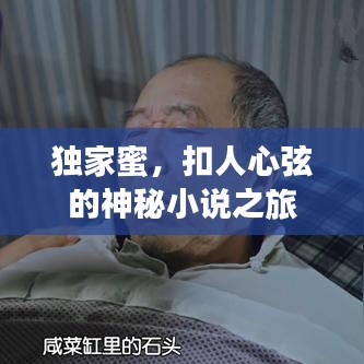 獨(dú)家蜜，扣人心弦的神秘小說(shuō)之旅
