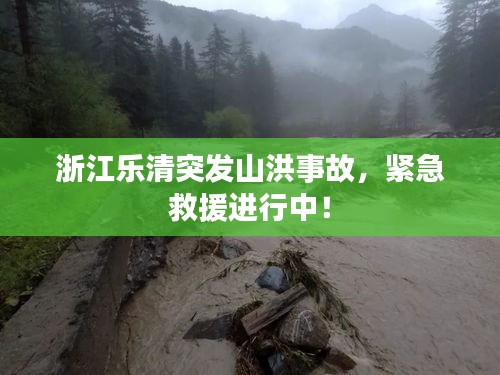 浙江樂清突發(fā)山洪事故，緊急救援進(jìn)行中！