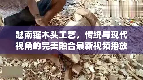 越南鋸木頭工藝，傳統(tǒng)與現(xiàn)代視角的完美融合最新視頻播放