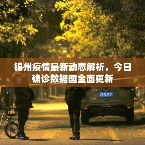 錦州疫情最新動(dòng)態(tài)解析，今日確診數(shù)據(jù)圖全面更新