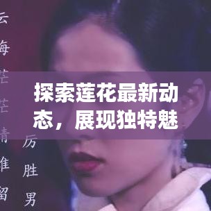 探索蓮花最新動態(tài)，展現(xiàn)獨特魅力——蓮花新聞頭條今日關注