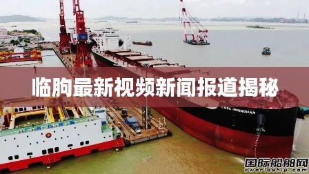 臨朐最新視頻新聞報(bào)道揭秘
