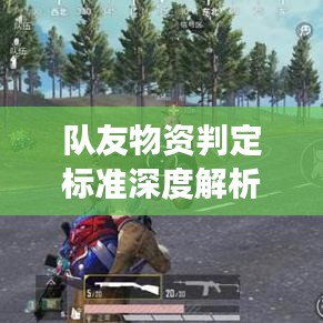 隊(duì)友物資判定標(biāo)準(zhǔn)深度解析，最新探討與解讀