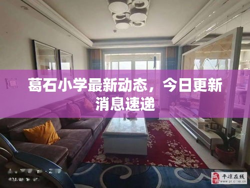 葛石小學(xué)最新動(dòng)態(tài)，今日更新消息速遞