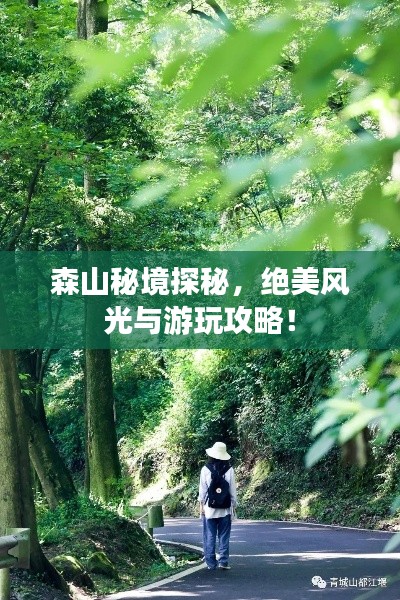 森山秘境探秘，絕美風(fēng)光與游玩攻略！