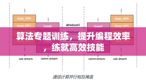 算法專題訓(xùn)練，提升編程效率，練就高效技能