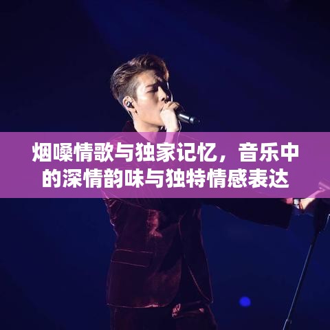 煙嗓情歌與獨(dú)家記憶，音樂中的深情韻味與獨(dú)特情感表達(dá)