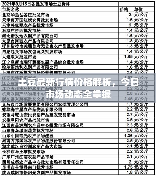 土豆最新行情價格解析，今日市場動態(tài)全掌握