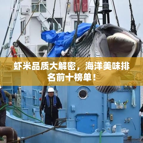 蝦米品質(zhì)大解密，海洋美味排名前十榜單！