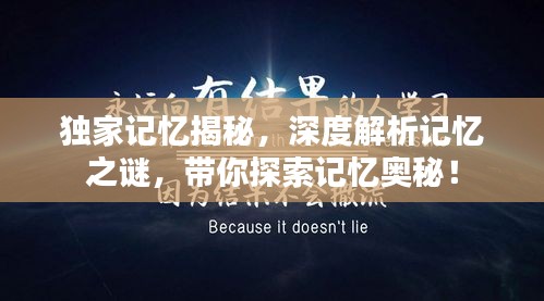 獨(dú)家記憶揭秘，深度解析記憶之謎，帶你探索記憶奧秘！