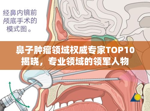 鼻子腫瘤領(lǐng)域權(quán)威專家TOP10揭曉，專業(yè)領(lǐng)域的領(lǐng)軍人物