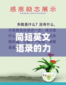 簡短英文語錄的力量，感恩與勵志并行，激發(fā)無限潛能