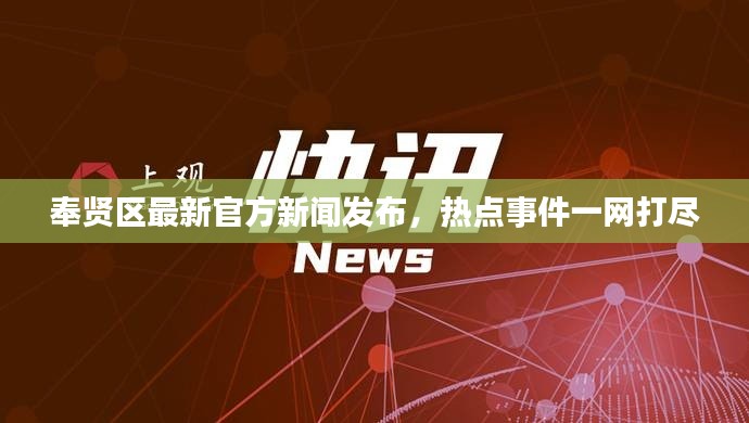 奉賢區(qū)最新官方新聞發(fā)布，熱點(diǎn)事件一網(wǎng)打盡
