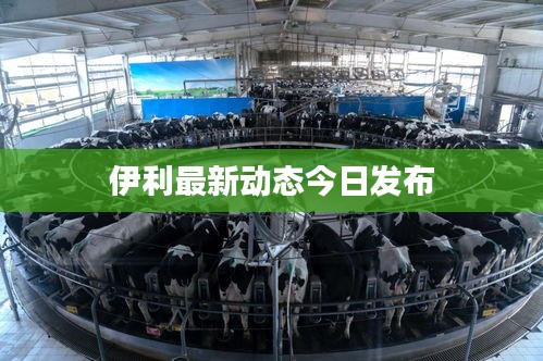 伊利最新動(dòng)態(tài)今日發(fā)布