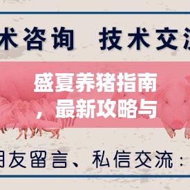 盛夏養(yǎng)豬指南，最新攻略與技巧