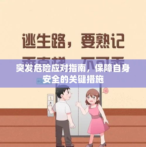 突發(fā)危險應(yīng)對指南，保障自身安全的關(guān)鍵措施