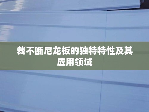 裁不斷尼龍板的獨特特性及其應用領域