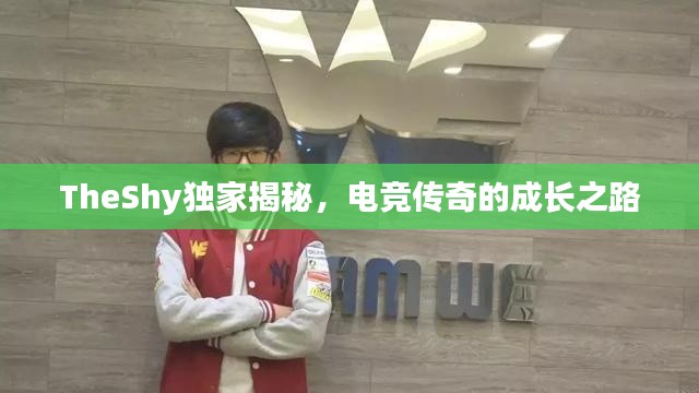 TheShy獨(dú)家揭秘，電競(jìng)傳奇的成長(zhǎng)之路