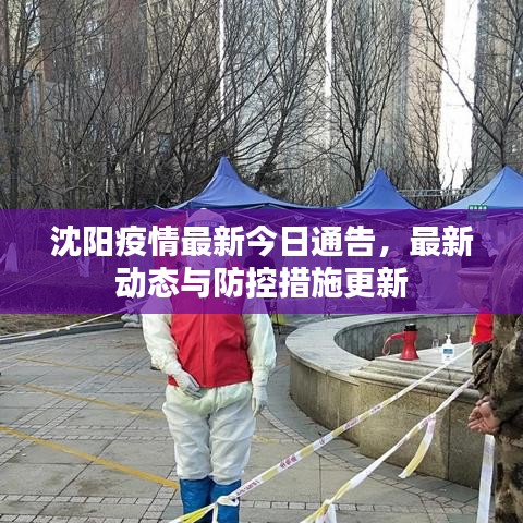 沈陽疫情最新今日通告，最新動態(tài)與防控措施更新