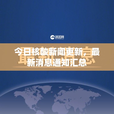今日核酸新聞更新，最新消息通知匯總