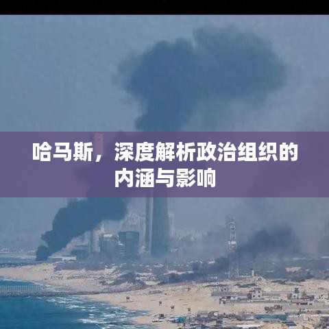 哈馬斯，深度解析政治組織的內(nèi)涵與影響