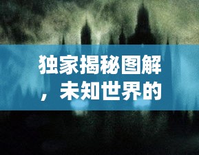 獨家揭秘圖解，未知世界的神秘面紗全揭曉！