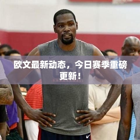 歐文最新動態(tài)，今日賽季重磅更新！