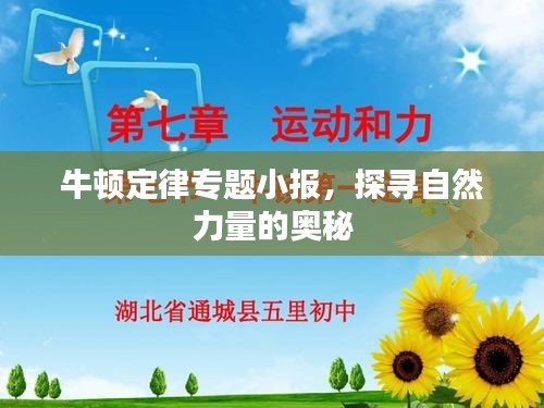 牛頓定律專(zhuān)題小報(bào)，探尋自然力量的奧秘
