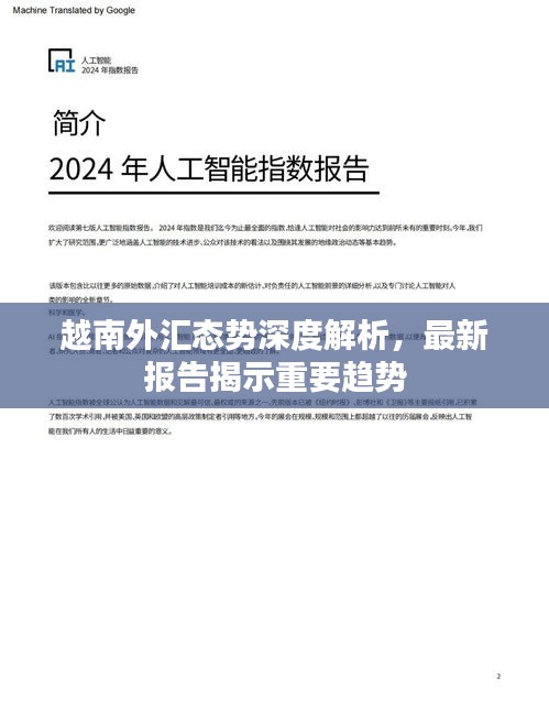 越南外匯態(tài)勢深度解析，最新報告揭示重要趨勢