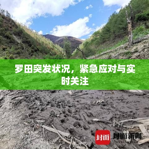羅田突發(fā)狀況，緊急應對與實時關注
