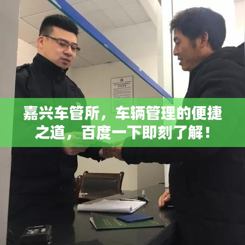 嘉興車管所，車輛管理的便捷之道，百度一下即刻了解！