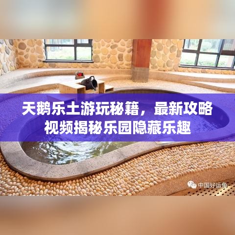 天鵝樂土游玩秘籍，最新攻略視頻揭秘樂園隱藏樂趣