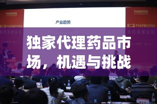 獨(dú)家代理藥品市場，機(jī)遇與挑戰(zhàn)的探索之路